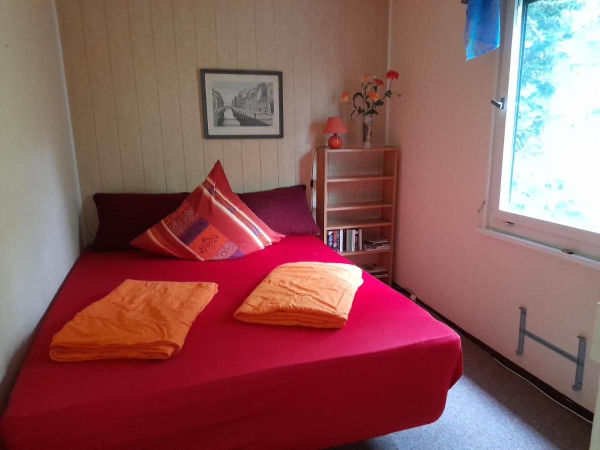 Bungalow Am Waldbad Βίλα Dahlen Εξωτερικό φωτογραφία